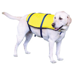 Marine Safety